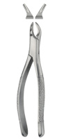 Tooth Forceps for Children, American Pattern